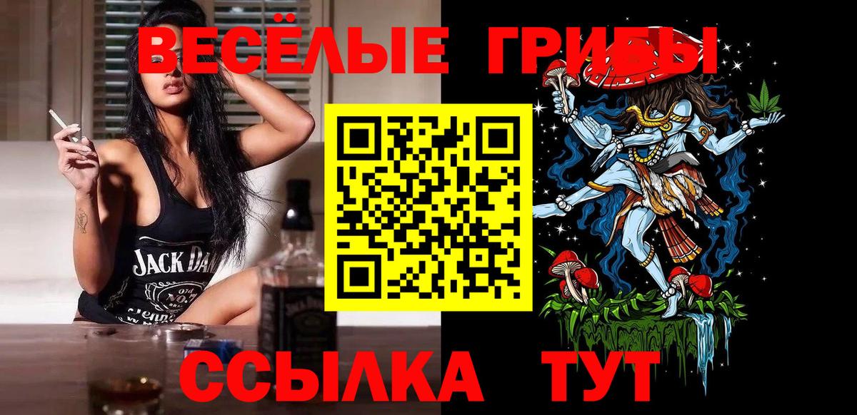 Галлюциногенные грибы Psilocybine cubensis Красноуфимск