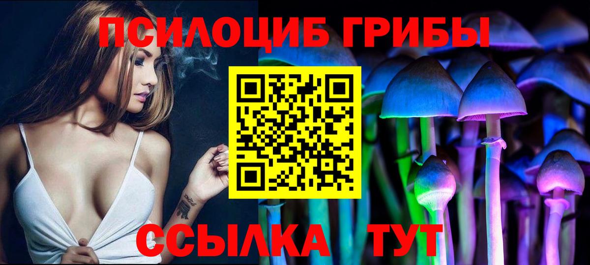 Псилоцибиновые грибы мицелий  Вход с VPN  Красноуфимск  Галлюциногенные грибы Cubensis 